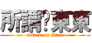 所謂ㄉ東東 (attack on titan)