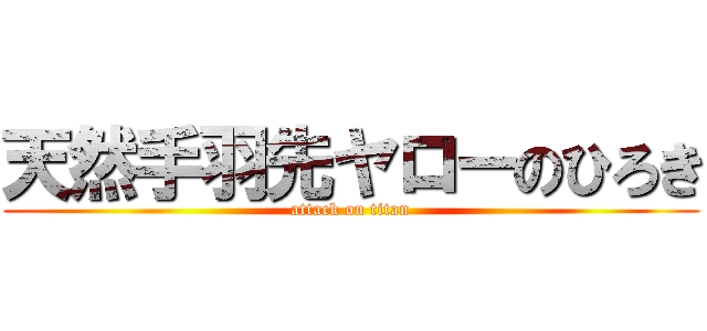 天然手羽先ヤローのひろき (attack on titan)