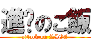 進擊のご飯 (attack on RICE)