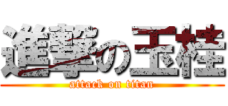 進撃の玉桂 (attack on titan)