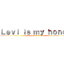 Ｌｅｖｉ ｉｓ ｍｙ ｈｏｎｅｙ (attack on titan)