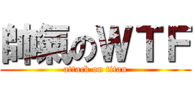 帥氣のＷＴＦ (attack on titan)