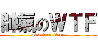 帥氣のＷＴＦ (attack on titan)