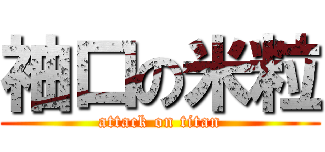 袖口の米粒 (attack on titan)