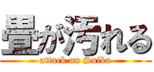 畳が汚れる (attack on Suika)