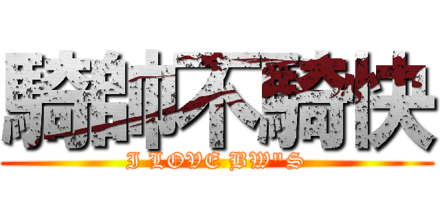 騎帥不騎快 (I LOVE BW\"S)