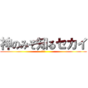 神のみぞ知るセカイ (女神篇)