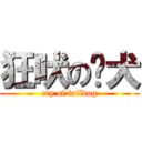 狂吠の败犬 (cry of faildog)