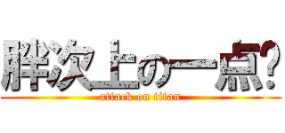 胖次上の一点红 (attack on titan)