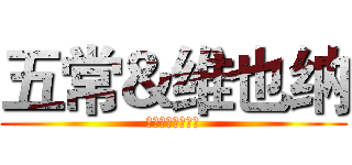五常＆维也纳 (大米与酒店的碰撞)