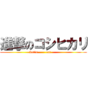 進撃のコシヒカリ (Let\'s        eat      )