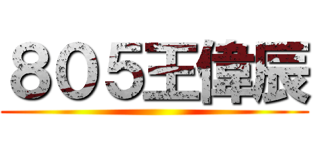 ８０５王偉辰 ()