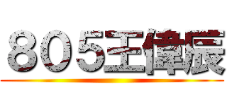 ８０５王偉辰 ()