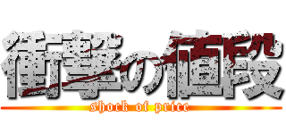 衝撃の値段 (shock of price)