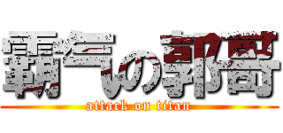 霸气の郭哥 (attack on titan)