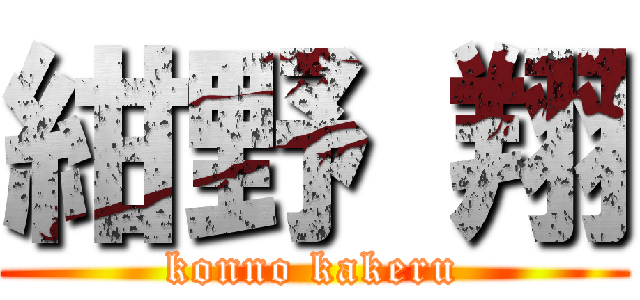 紺野 翔 (konno kakeru)