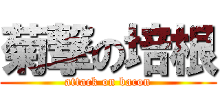菊撃の培根 (attack on bacon)