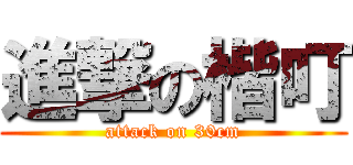 進撃の楷叮 (attack on 30cm)