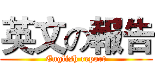 英文の報告 (English report)