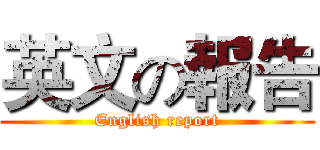 英文の報告 (English report)