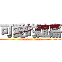 可愛的誼嘉 (attack on titan)