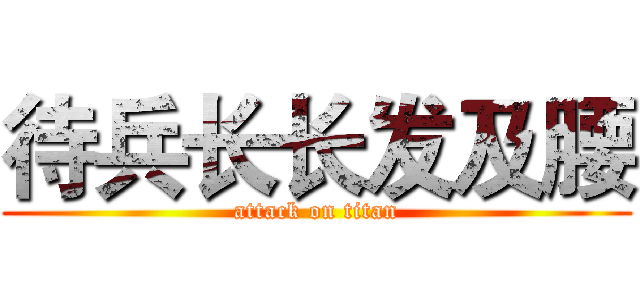 待兵长长发及腰 (attack on titan)