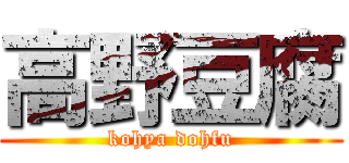 高野豆腐 (kohya dohfu)