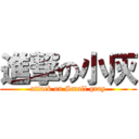 進撃の小灰 (attack on Small gray)
