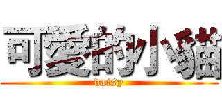 可愛的小貓 (daisy)