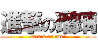 進撃の瑠璃 (attack on ruri)