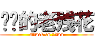 进击的老残花 (attack on titan)