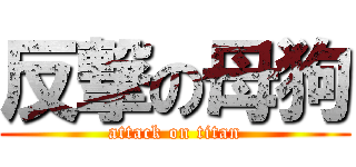 反撃の母狗 (attack on titan)
