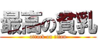 最高の貧乳 (attack on titan)