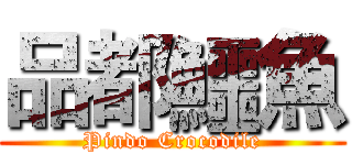 品都鱷魚 (Pindo Crocodile)