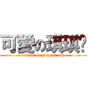 可愛の琪琪♥ (attack on yanyan cup)