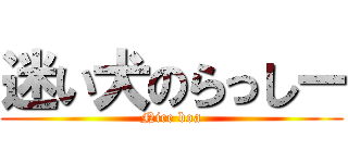 迷い犬のらっしー (Nice boa)