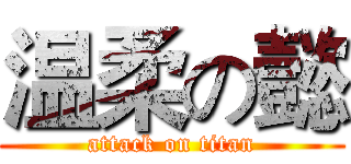 温柔の懿 (attack on titan)