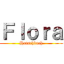 Ｆｌｏｒａ (Hatschbach)