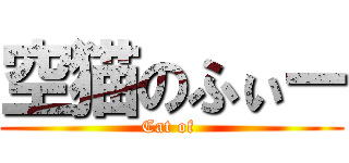 空猫のふぃー (Cat of )