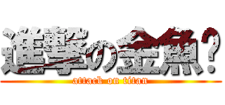 進撃の金魚佬 (attack on titan)