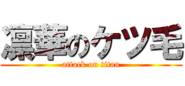 凛華のケツ毛 (attack on titan)