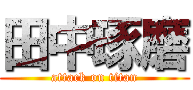 田中琢磨 (attack on titan)