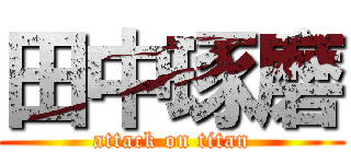 田中琢磨 (attack on titan)