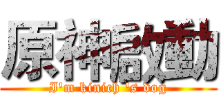 原神啟動 (I'm kinich 's dog)