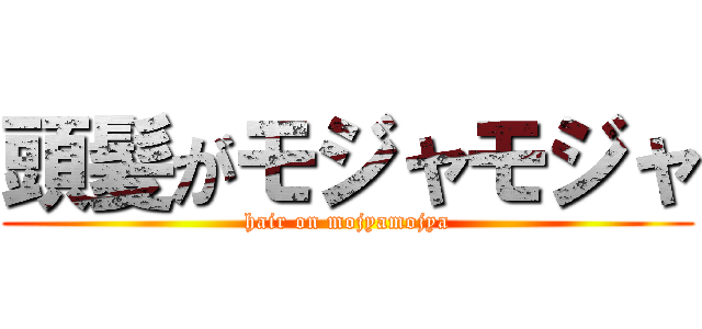 頭髪がモジャモジャ (hair on mojyamojya)