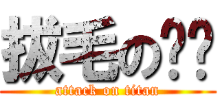 拔毛の乌龟 (attack on titan)