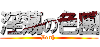 淫蕩の色團 (Bitch )