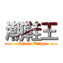 潮鞋王 ( Shoes King)