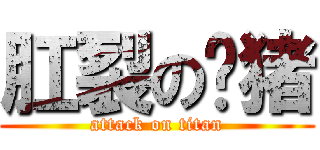 肛裂の贰猪 (attack on titan)