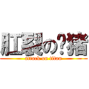 肛裂の贰猪 (attack on titan)